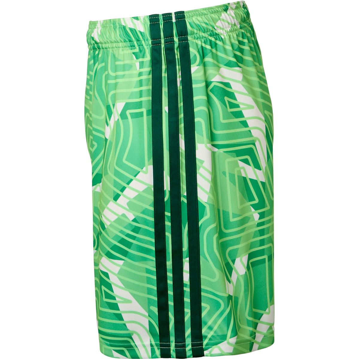 Vejle Boldklub 26/27 Målmandsshorts Børn Green