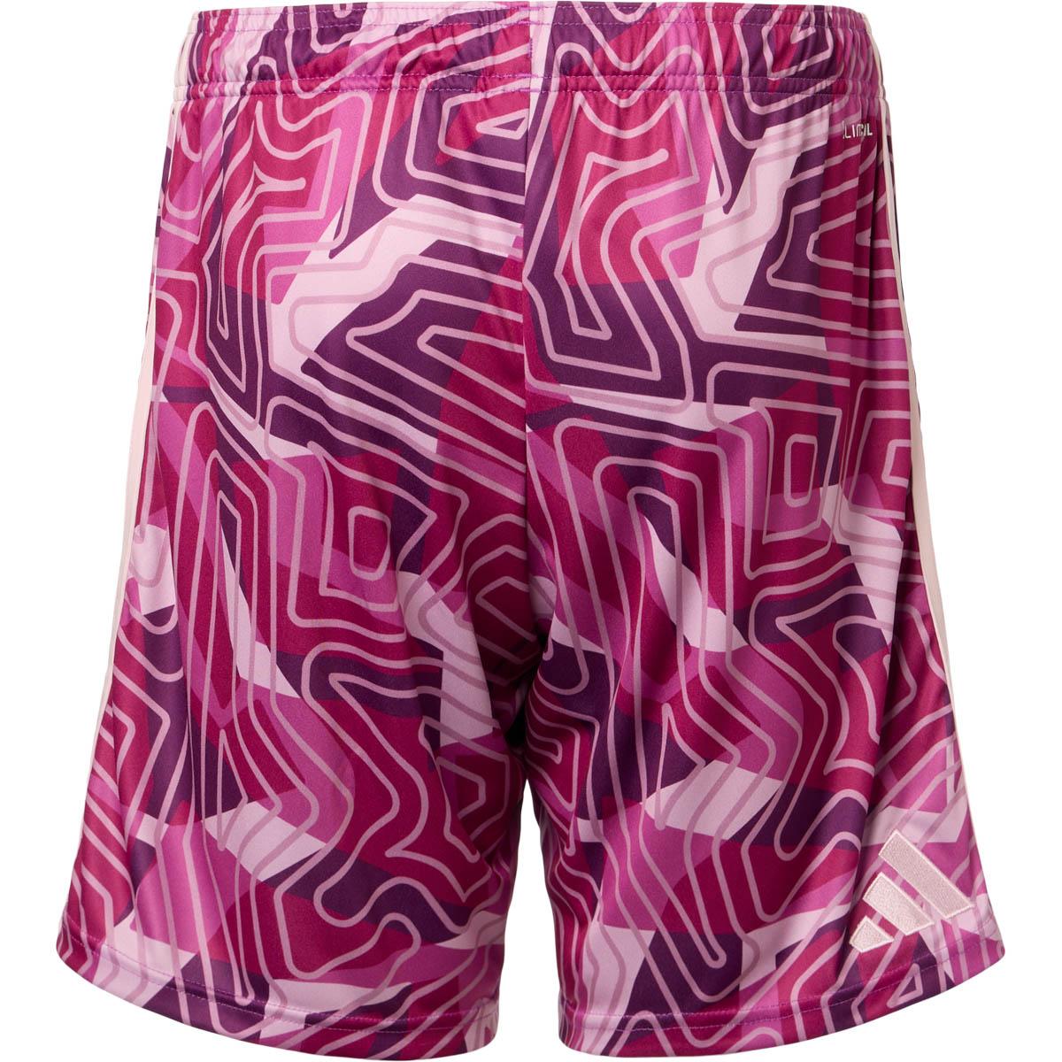 Silkeborg IF 26/27 Målmandsshorts Børn Purple