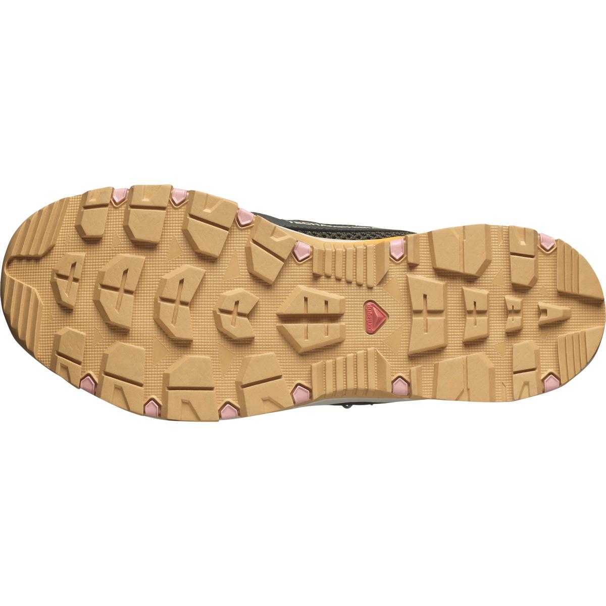Salomon Techamphibian 5 Vandresko Dame Peat / Rainy Day / Hyma Pink