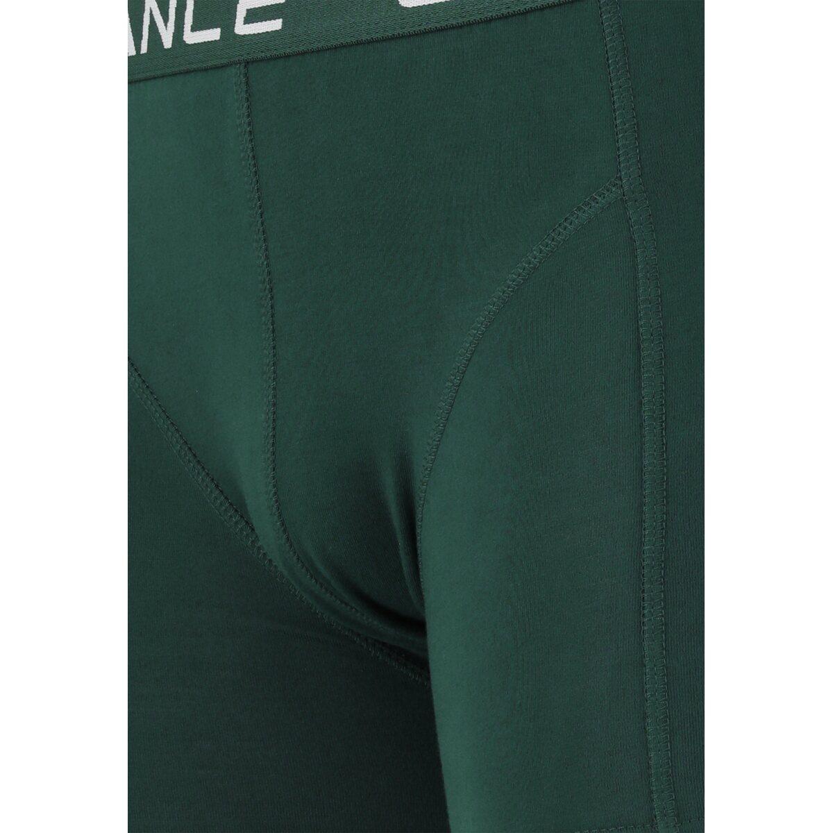 Endurance Norwich 1 pcs Boxershorts Sea Moss