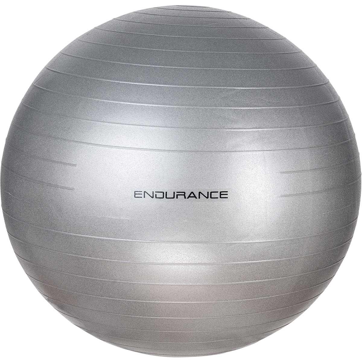 Endurance 55 cm Træningsbold silver