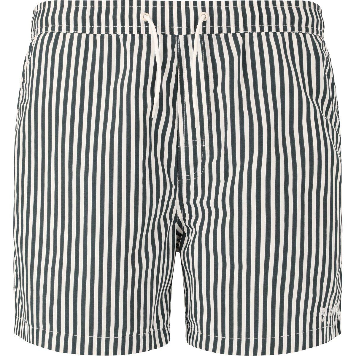 Virtus Cullen Striped Badeshorts Herre Dusty Forest