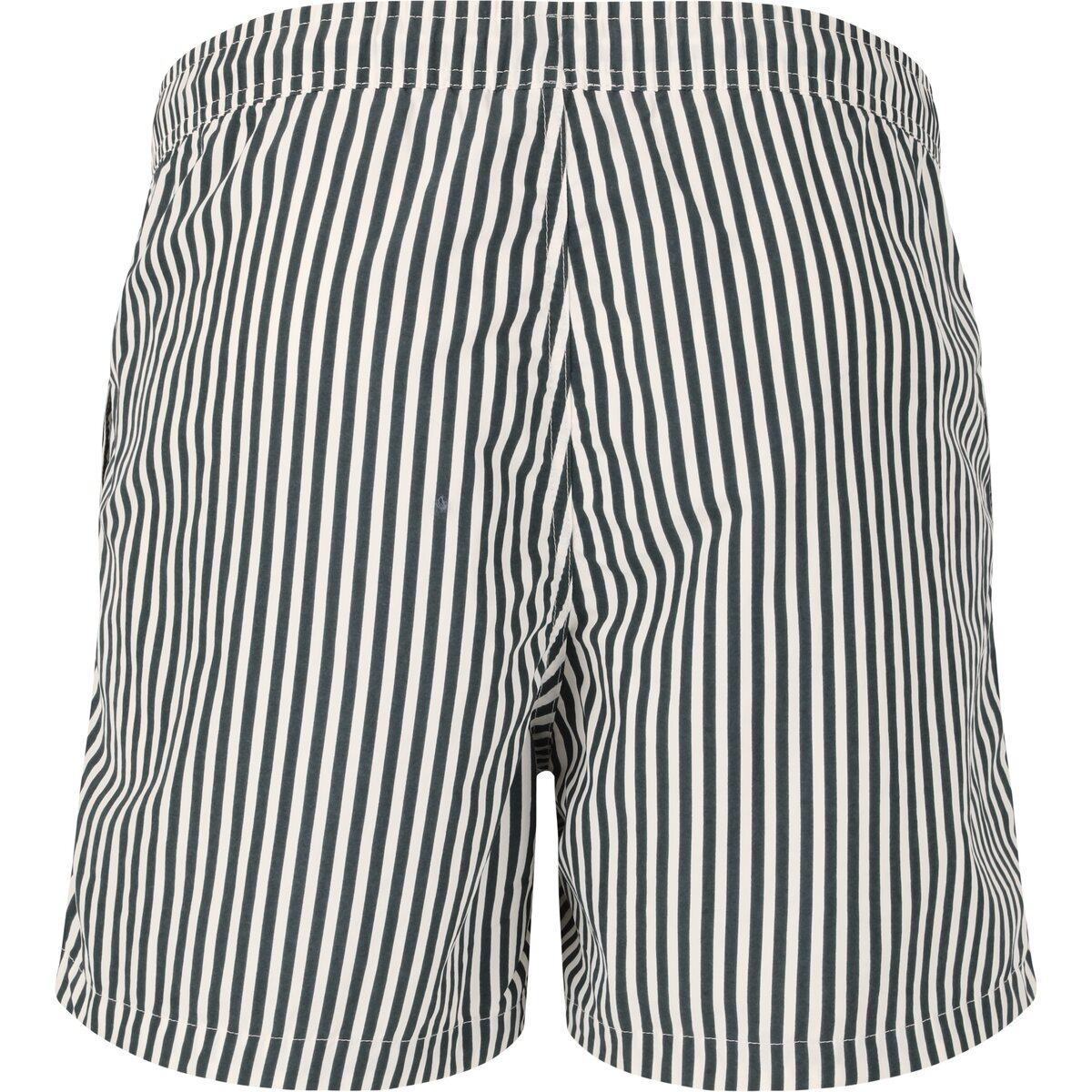 Virtus Cullen Striped Badeshorts Herre Dusty Forest