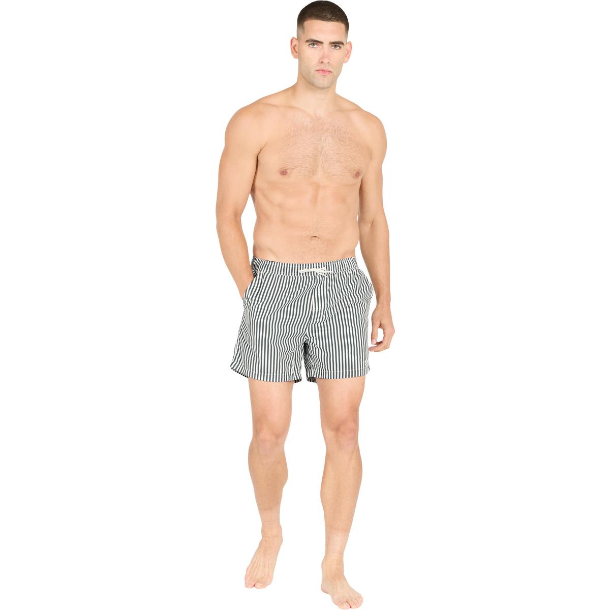 Virtus Cullen Striped Badeshorts Herre Dusty Forest