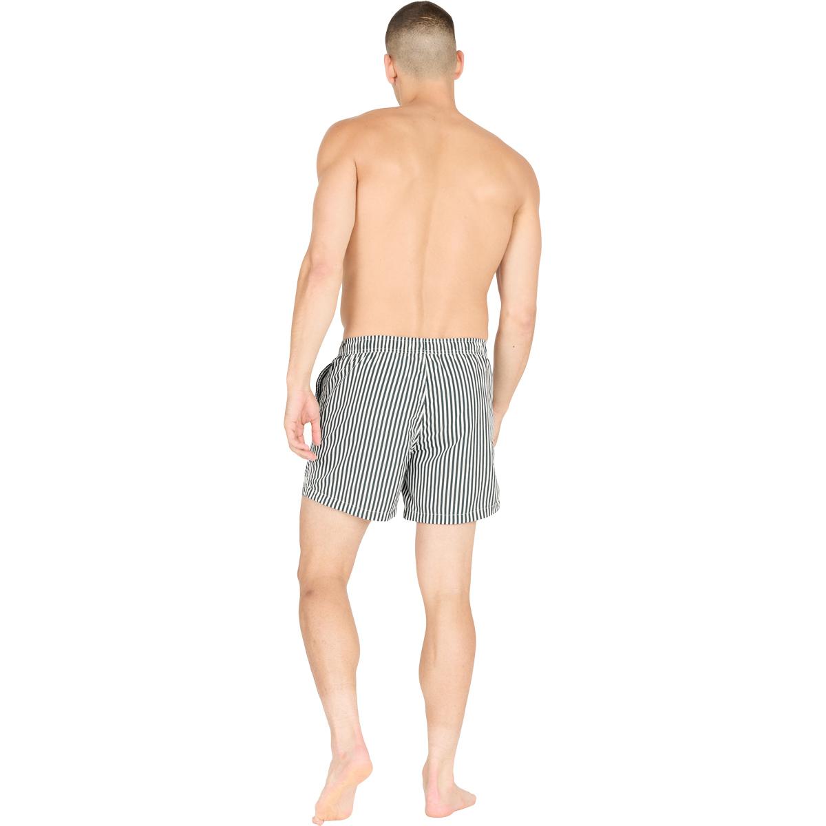 Virtus Cullen Striped Badeshorts Herre Dusty Forest