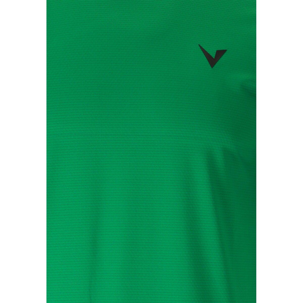 Virtus Roger v3 Hyperstretch Trænings T-shirt Herre Verdant Green
