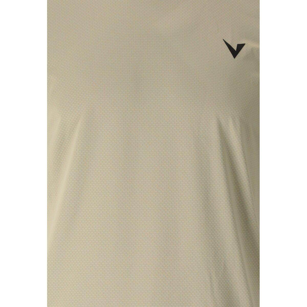 Virtus Roger v3 Hyperstretch Trænings T-shirt Herre Dried sage