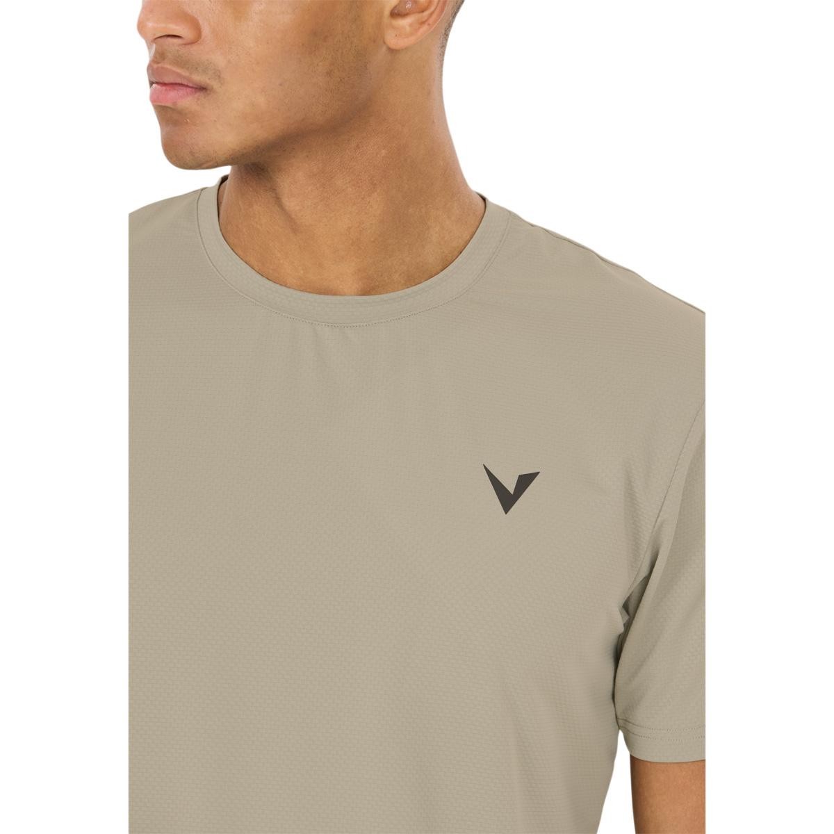 Virtus Roger v3 Hyperstretch Trænings T-shirt Herre Dried sage