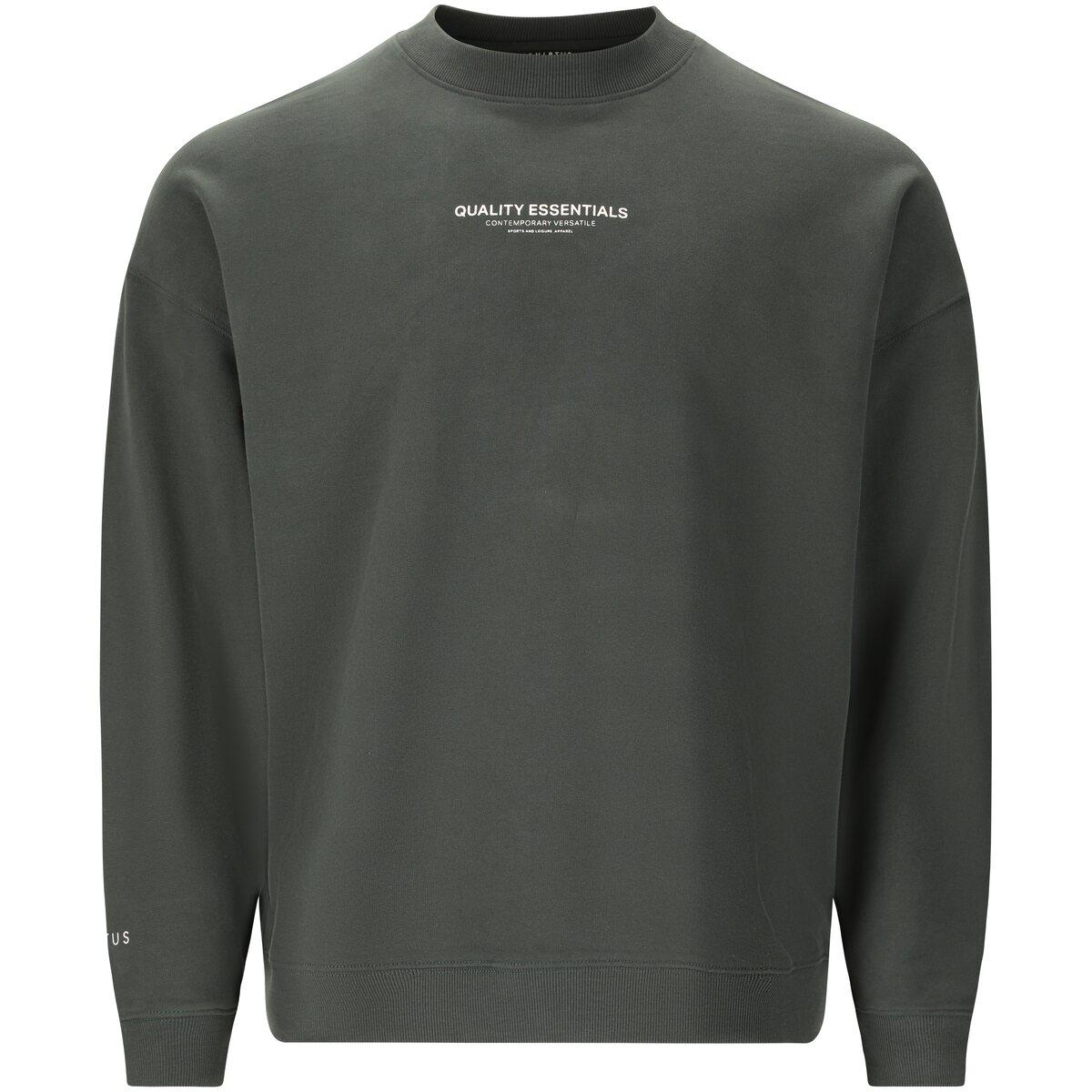 Virtus Idan Crew Neck Sweatshirt Herre Forest River