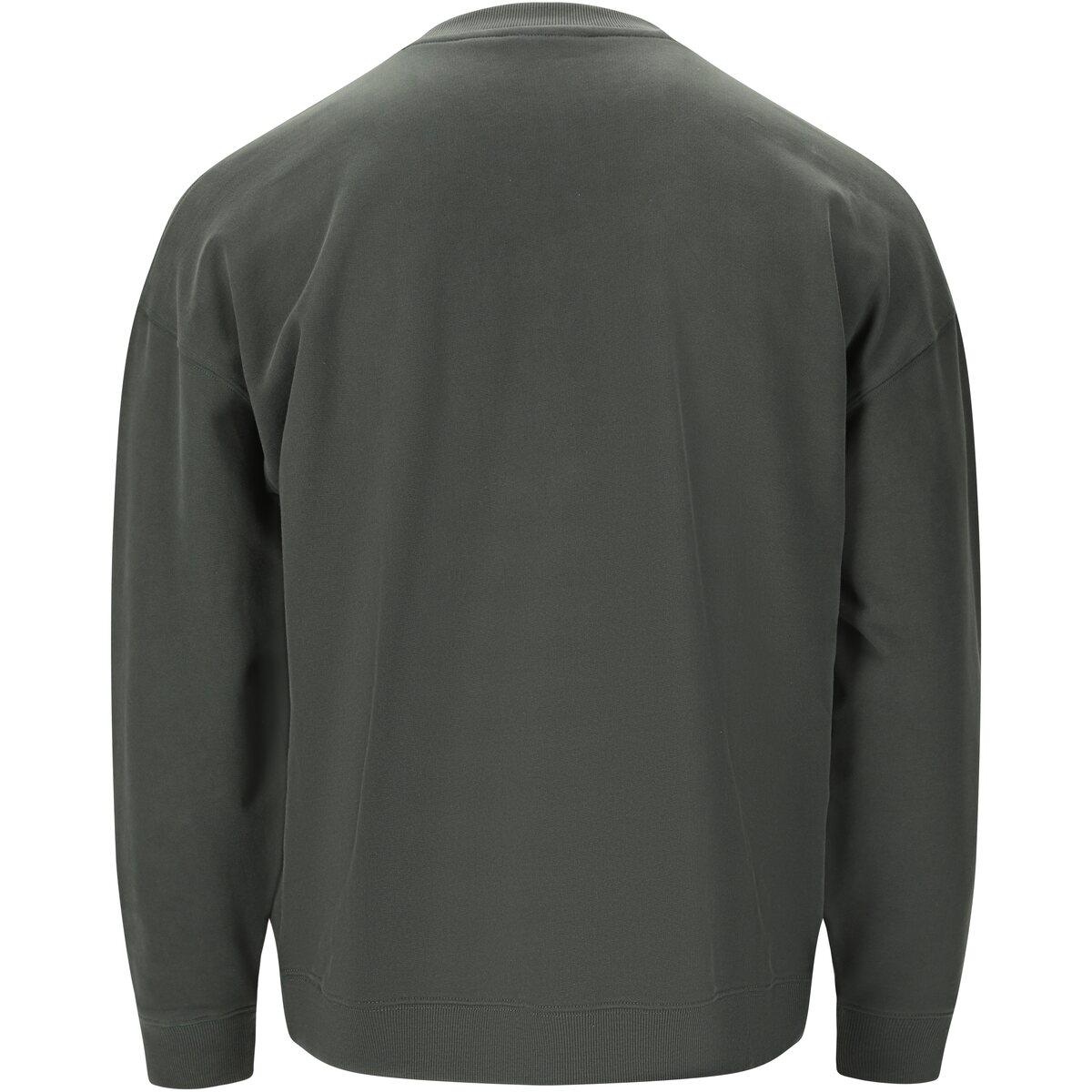 Virtus Idan Crew Neck Sweatshirt Herre Forest River