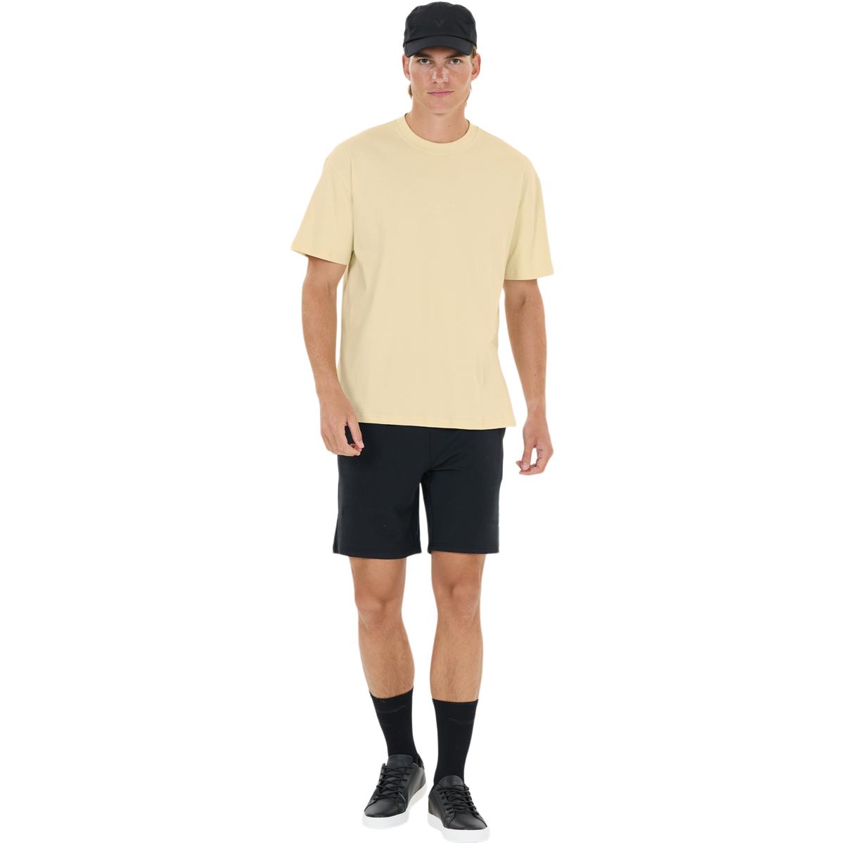 Virtus Roake v2 T-shirt Herre Almond Milk
