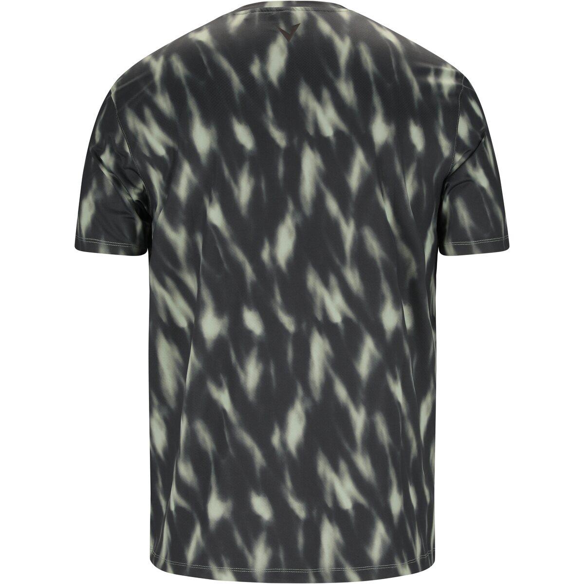Virtus Altoni AOP Trænings T-shirt Herre Green Northern Lights