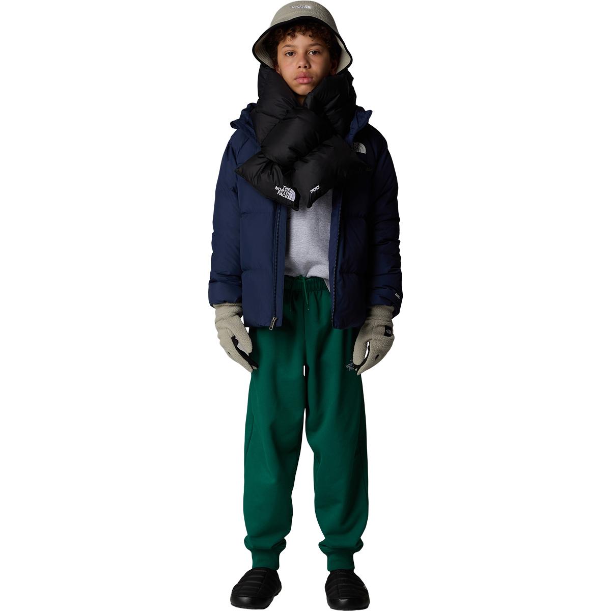 The North Face B North Down Hooded Dunjakke Barn Summit Navy