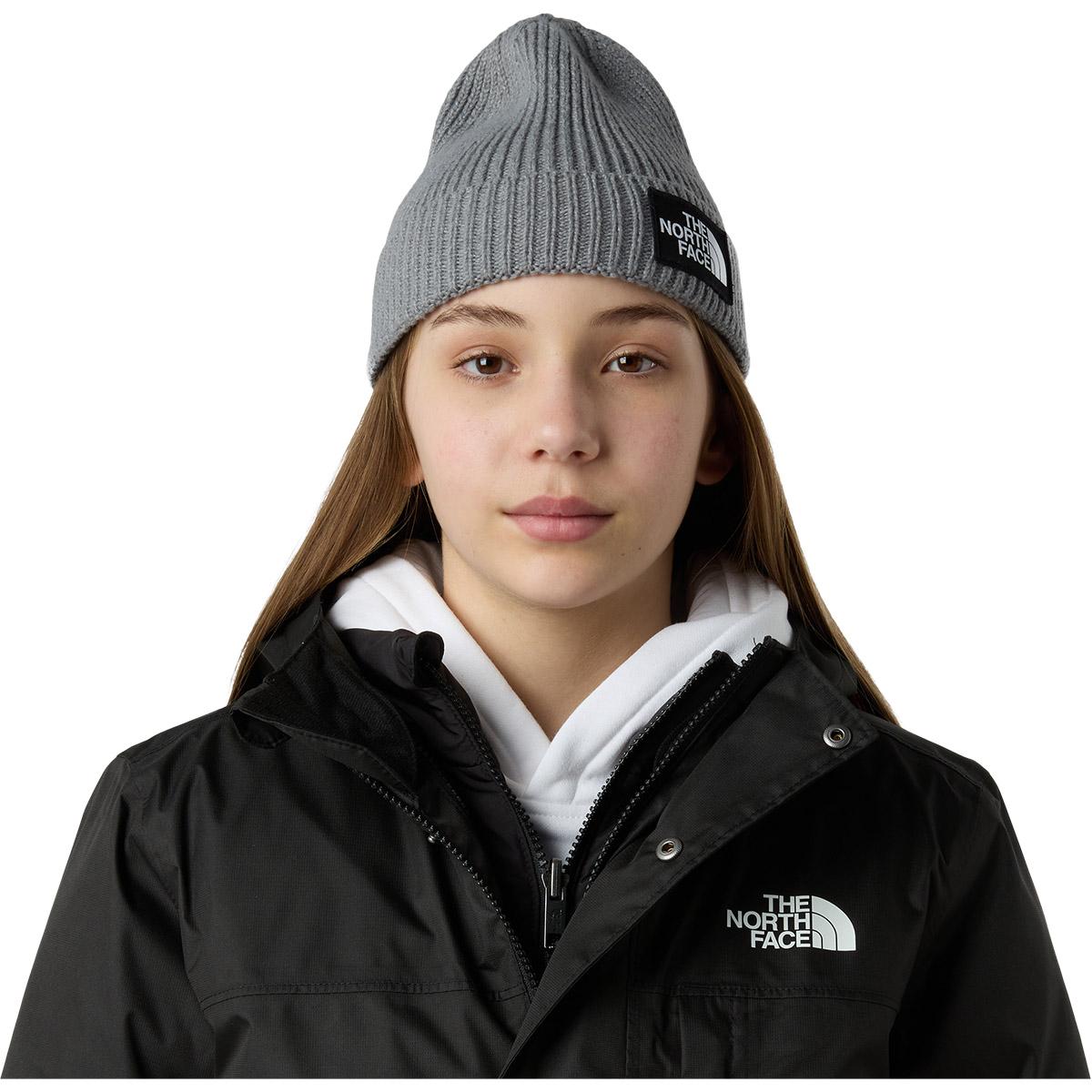 The North Face Logo Box Cuffed Lue Barn Grey