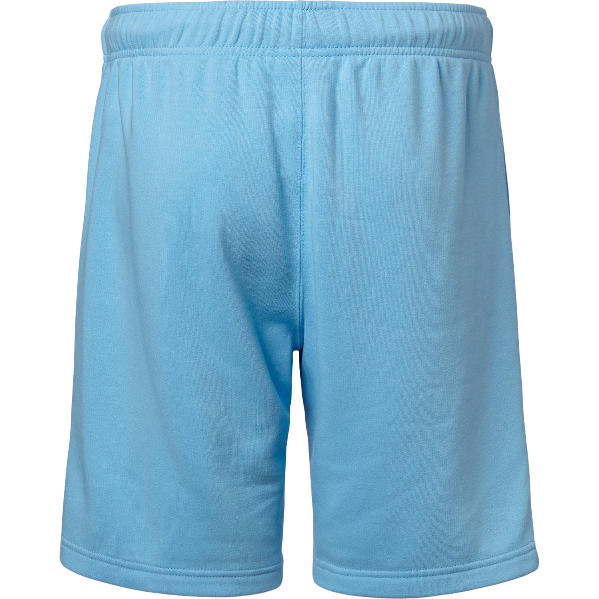 Champion Script Logo Bermuda Sweatshorts Herre Alaskan Blue
