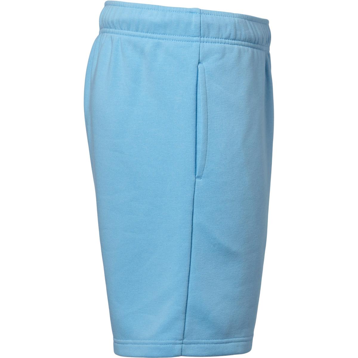 Champion Script Logo Bermuda Sweatshorts Herre Alaskan Blue