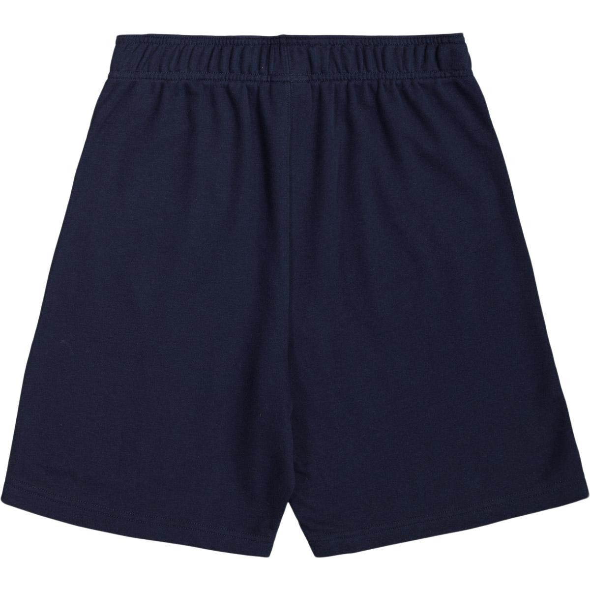 Champion Small Red Script Bermuda Sweatshorts Herre Sky Captain