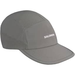 Castor Gray/