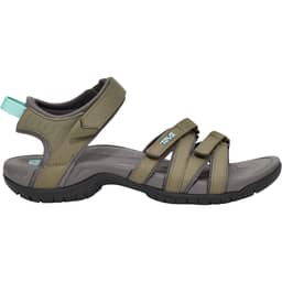 BURNT OLIVE