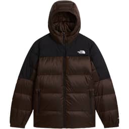 Dark Chestnut Black Hea