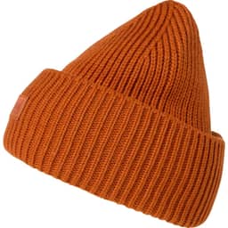 GINGER BISCUIT