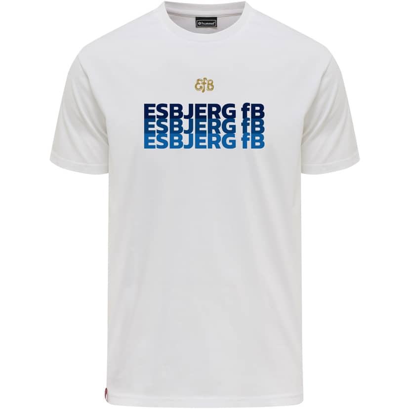Esbjerg fB Grafik T-shirt Børn